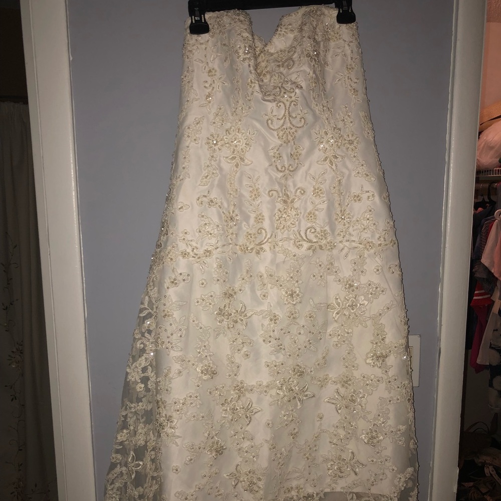 Wedding Dress with Veil
